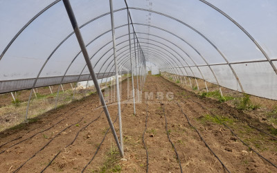 იყიდება მიწის ნაკვეთი ვანი იმერეთი