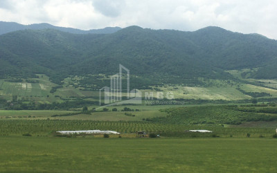 For Sale Land Marneuli Kvemo Kartli