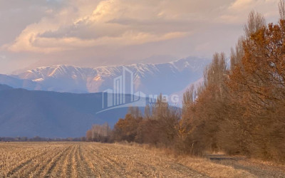 Продается Земля Телави Кахети