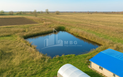 იყიდება მიწის ნაკვეთი ვანი იმერეთი