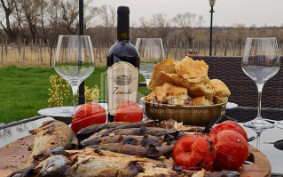 Продается Коммерческий Хашми Сагареджо Кахети