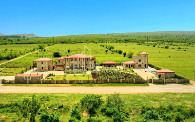 Продается Коммерческий Телави Кахети