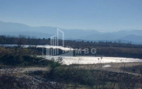 For Sale Land Kutaisi Imereti