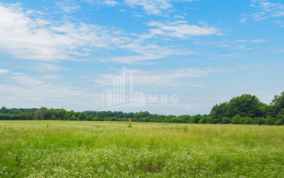 Продается Земля Кварели Кахети