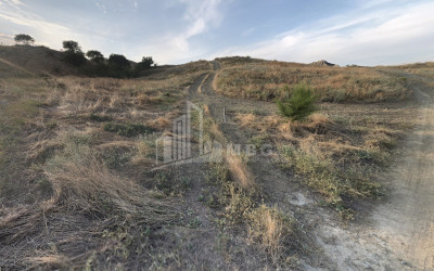 Продается Земля Квемо Бодбе Сигнаgи Кахети