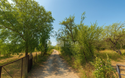 Продается Земля Трани Тианети Мцхета   Мтианети