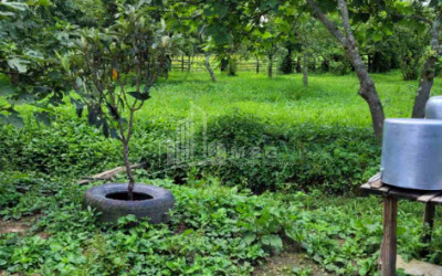 For Sale Land Chibati village Lanchkhuti Municipalities of Guria