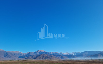 For Sale Land Eniseli Kvareli Kakheti