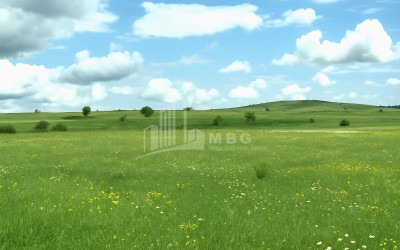 For Sale Land Dmanisi City Dmanisi Kvemo Kartli