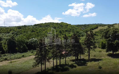 For Sale Commercial Atskuri Akhmeta Kakheti