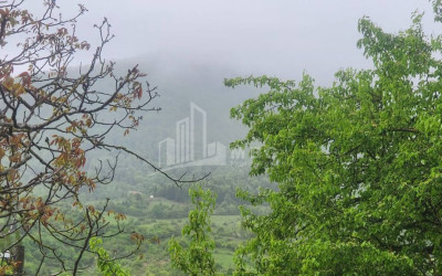 Продается Дом Вилла Квишхети Хашури Шида Картли