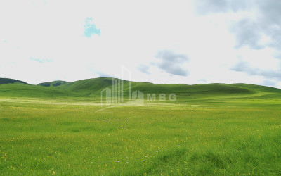 For Sale Land Dmanisi City Dmanisi Kvemo Kartli