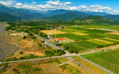 For Sale Commercial Shilda Kvareli Kakheti