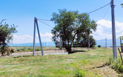 იყიდება მიწის ნაკვეთი ყვარელი კახეთი