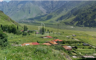 For Sale Land Fanshet Kazbegi Mtskheta   Mtianeti