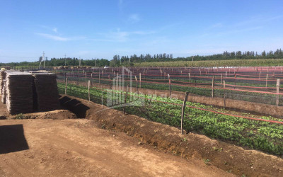 იყიდება მიწის ნაკვეთი გურია