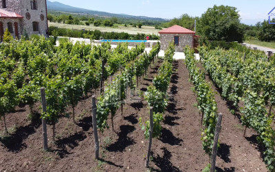 Продается Коммерческий Телави Кахети