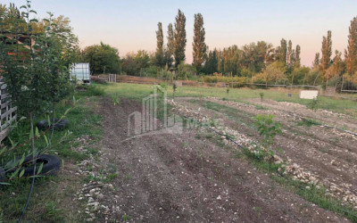 იყიდება მიწის ნაკვეთი ნასაგური სამგორის რაიონი თბილისი