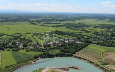 იყიდება მიწის ნაკვეთი სენაკი სამეგრელო   ზემო სვანეთი