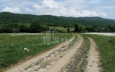 Продается Земля Гомбори Сагареджо Кахети