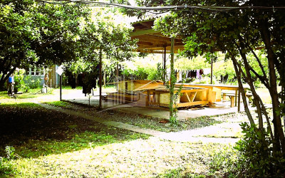 იყიდება მიწის ნაკვეთი ფოთი სამეგრელო   ზემო სვანეთი