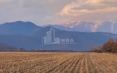 Продается Земля Телави Кахети