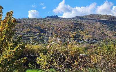 Продается Земля Деревня Чинти Душети Мцхета   Мтианети