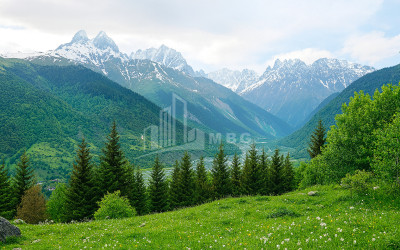 For Sale Land Mestia Samegrelo   Upper Svaneti