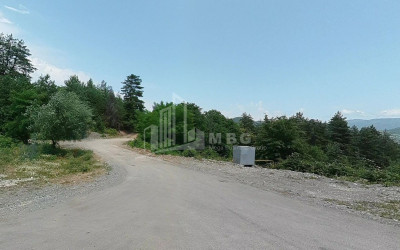 Продается Земля Иста Амбролаури Рача   Лечхуми Квемо Сванети