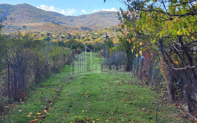 Продается Земля Деревня Чинти Душети Мцхета   Мтианети