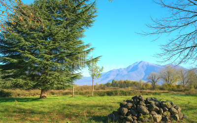 For-Sale-Land-Eniseli-Kvareli-Kakheti