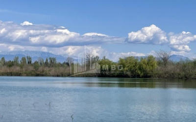 For Sale Land Kutaisi Imereti