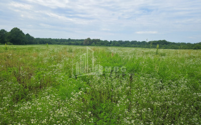 Продается Земля Кварели Кахети