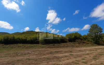 იყიდება მიწის ნაკვეთი სიღნაღი კახეთი