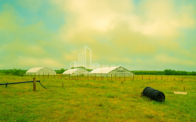 For Sale Land Vartsikhe Baghdati Imereti