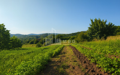იყიდება მიწის ნაკვეთი ორხევი თიანეთი მცხეთა   მთიანეთი