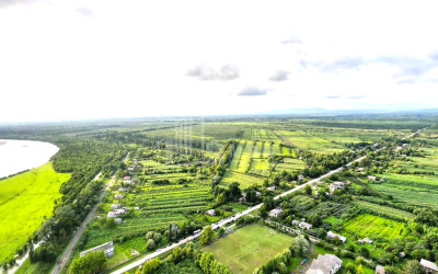 იყიდება მიწის ნაკვეთი სენაკი სამეგრელო   ზემო სვანეთი