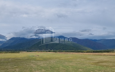 For Sale Land Eniseli Kvareli Kakheti