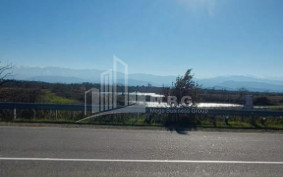 For Sale Land Kutaisi Imereti