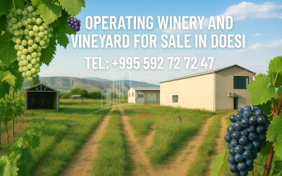 იყიდება კომერციული ფართი დოესი კასპი შიდა ქართლი