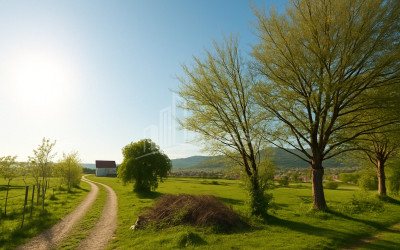 For-Sale-Land-Saguramo-Mtskheta-Mtskheta---Mtianeti