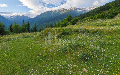 For Sale Land Mestia Samegrelo   Upper Svaneti