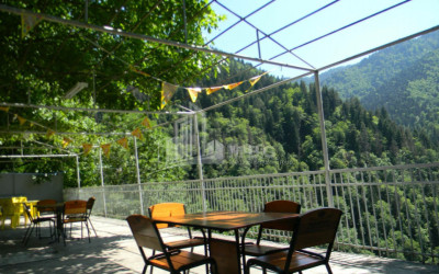 For Sale House Villa Borjomi Samtskhe   Javakheti