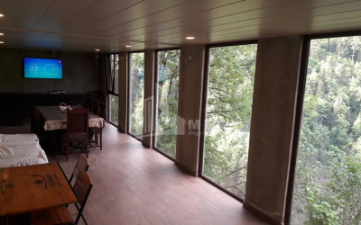For Sale House Villa Borjomi Samtskhe   Javakheti