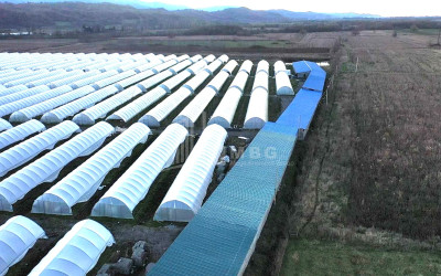 იყიდება მიწის ნაკვეთი ვანი იმერეთი