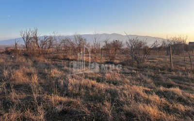 იყიდება მიწის ნაკვეთი მისაქციელი მცხეთა მცხეთა   მთიანეთი