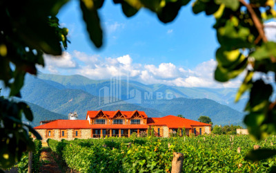 For Sale Commercial Shilda Kvareli Kakheti