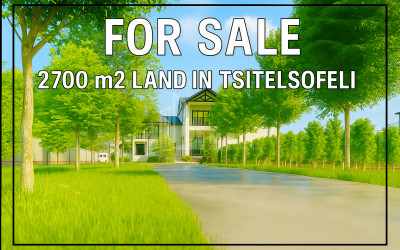 For-Sale-Land-Tsitelsopeli-Kareli-Shida-Kartli