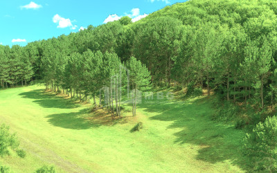 Продается Земля Городок Сурами Хашури Шида Картли