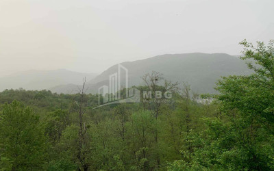 Продается Земля Иста Амбролаури Рача   Лечхуми Квемо Сванети